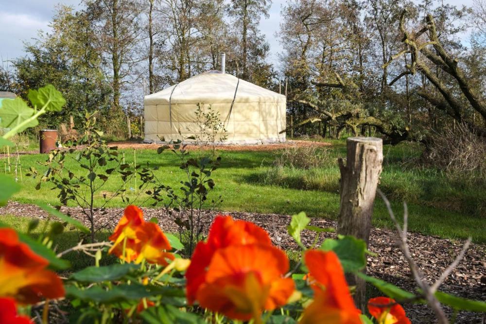 Yurt Klyndobbe Bed and Breakfast Veenwoudsterwal Eksteriør billede